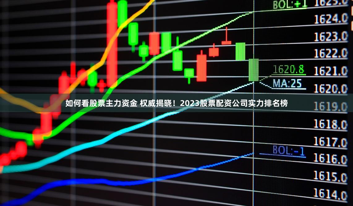 如何看股票主力资金 权威揭晓！2023股票配资公司实力排名榜