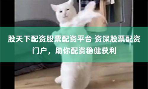 股天下配资股票配资平台 资深股票配资门户，助你配资稳健获利